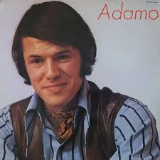 Joggingshotrs von Adamo