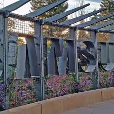 Samsung Research America Reviews Glassdoor