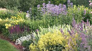 Some perennial plants are particularly suited for combinations with tulips as they attain their height fairly quickly in the spring and produce substantial foliage that hides the senescing tulip landscaping ideas. Two Stunning Ideas For Your Summer Perennial Garden Bed Garden Gate
