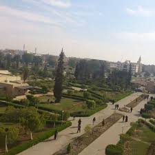 Suez canal university, faculty of science, 41522, ismailia, egypt. Suez Canal University Hospital 2 Tips