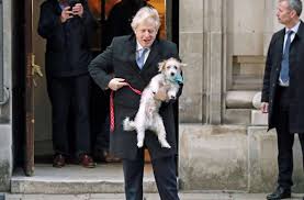 At one point he was so. Kollektives Abnehmen Mit Boris Johnson Briten Sollen Schlanker Werden Panorama Stuttgarter Zeitung