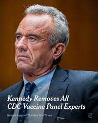 Robert F. Kennedy Jr., the U.S. health secretary,