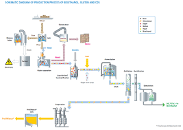 Production Processes Bioethanol Cropenergies Ag