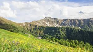 Accommodations in Pustertal  Val Pusteria – Holidays in South Tyrol |  Booking Südtirol