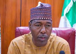 Zulum appoints Dauda Iliya as new spokesperson