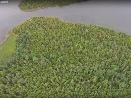 Browse photos, watch virtual tours and create a favorites account to save, organize and share your favorite. Drummond Island Real Estate Drummond Island Mi Homes For Sale Zillow