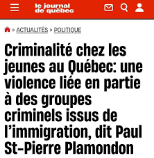 Non mais quelles affirmations graves, ignobles et sans fondement de la part  du chef du Parti québécois! C'est absolument déplorable de voir encore une  autre tentative de tout blâmer sur l'immigration. Ce