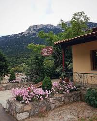 Sabias Que Grecia Tiene Varios Centros De Ski Si En Delfos Donde Estuvimos Hoy Y En Varios Lugares Incluso Las Afueras De Ate Centro De Esqui Grecia Atenas