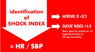 Image result for Shock Index