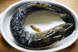 Hecht Mit Schalotten Und Creme Fraiche Nach Wolfram Siebeck Dermutanderer De Schalotten Hecht Rezepte Creme Fraiche