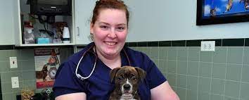 Maybe you would like to learn more about one of these? Plainfield Veterinary Clinic Plainfield Veterinary Hospital Veterinarian Animal Hospital