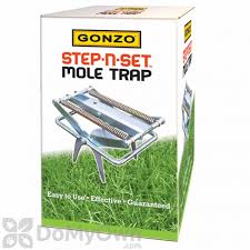 How to set a mole trap with a scissor trap. Gonzo Step N Set Mole Trap