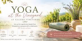 Yoga at the Vineyard