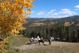With an abundance of paths leading into the backcountry and with national forest lands and parks so close, winter park and the surrounding areas are the ideal place to bring your horse (or take a guided horseback riding trip) in the summer months. Horseback Riding In Breckenridge Breckenridge Colorado