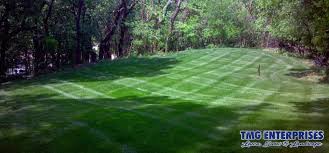 Where do you need mow & maintain a lawn pros? Lawn Care Tmg Enterprises Omaha Ne