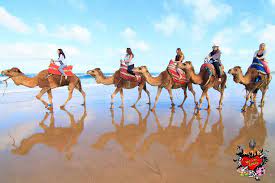 Heaps of people do them and enjoy them. Morocco Fantasy Weekend Gibraltar We Love Spain International Student Excursions
