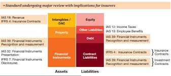 If the insured dies shortly after the policy is issued, the insurer would be obligated to pay out a sum after. The Financial Insurance Investment Blog Framework Ifrs 17 Insurance Contracts Part 1 Summary And Features