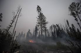 We did not find results for: B C Resource And Tourism Industries Braced As Wildfires Rip Through Forests News 1130