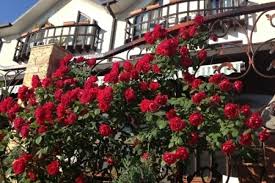 Pensiunea meridian eforie nord ⭐ , romania, eforie nord, str. Pensiunea Colonial Eforie Nord Contact Direct