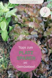 Tipps Fur Eine Grosse Ernte Im Kleinen Garten In 2020 Pflanzen Gemusebeet Gemuse Anbauen