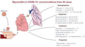 Contemporary reviews in cardiovascular medicine. Covid 19 And Myocarditis A Systematic Review And Overview Of Current Challenges Springerlink