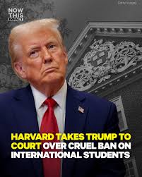 A federal judge has blocked the Trump administration's attempt to bar  Harvard University from enrolling international students, delivering a  major setback to the White House's crackdown