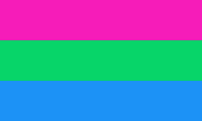 Here's what pansexuality really means, a thorough definition and explainer on what pansexual is. Polysexual Lgbta Wiki Fandom