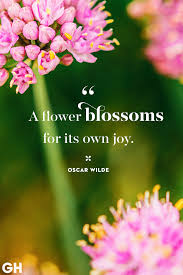We did not find results for: 40 Inspirational Spring Quotes Quotes For Welcoming Spring