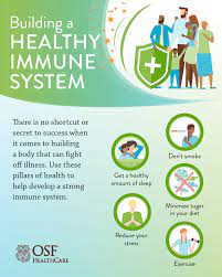 Get To Know The Immune System | Osf Healthcare