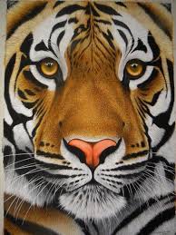 Although zeng explores other painting mediums such as gouache, pastel, and digital, oil and canvas feels the most natural. Tiger Tiger Burning Bright Tiger Painting Big Cats Art Animal Drawings