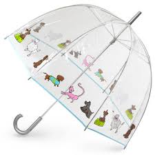H απαραίτητη  ομπρέλα ...