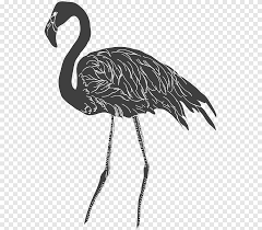 Santa claus beard, santa, aneka, putih png. Sketsa Gambar Hitam Dan Putih Desain Monokrom Burung Png Pngegg