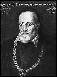 Giulio Cesare Casseri (1552-1616): El Anatomista de Padua Ensombrecido por  la historia