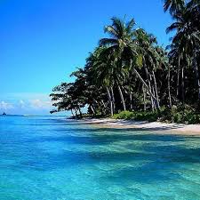 49 gambar pemandangan alam yang menajubkan from i2.wp.com gunung,bunga,dan salju menjadi satu dalam pemandangan yang begitu menawan untuk dilihat secara langsung. 5 Wisata Pantai Di Situbondo Punya Pemandangan Yang Indah Surabaya Liputan6 Com