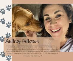 Hi all! I'm new to Virginia and would love to introduce my business,  Wagging with Swag, to the Augusta/Rockingham county area! Feel free to  check out and share the instagram below. ❤️🐾