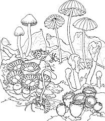 Frog, dragonfly, snail, leaves and mushrooms to color. Mushrooms Coloring Pages Coloring Home