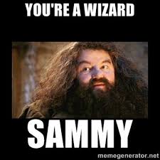 What's fascinating is that the nature of online memes means we can trace their origins, evolution, and changes in popularity. Sammy Meme Google Search Harry Potter Harry Harry Potter Fan