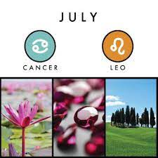Birth Signs And Symbols What To Expect Birth Month Symbols Birth Symbols Zodiac Flowers Birth Month