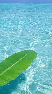 Hawaii Iphone Wallpapers Top Free Hawaii Iphone Backgrounds Wallpaperaccess In 2021 Iphone Wallpaper Water Hd Landscape Ocean