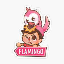 Check spelling or type a new query. Albert Flamingo Wallpaper Kolpaper Awesome Free Hd Wallpapers