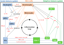 Check spelling or type a new query. Cells Free Full Text The Brain Skin Connection And The Pathogenesis Of Psoriasis A Review With A Focus On The Serotonergic System Html