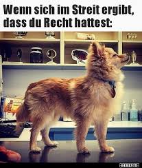 Pin Von Lara Bauer Auf Spruche Humor Bilder Hund Witze Lustige Bilder