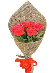 We did not find results for: Online Sorry Flower Arrangement Delivery To Mint College By Local Florist In Philippines