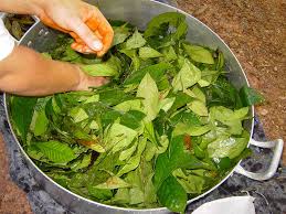 Free shipping on orders over $25 shipped by amazon. Controversy Brews Over New Mexico Church S Hallucinogenic Tea Ritual Npr