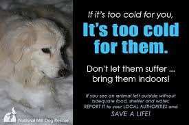 Record Cold Temperatures Are Sweeping Large Parts Of The Country And Many Animals Will Suffer As A Result It Is A Crime And A Felony In S Dogs Animals Pets