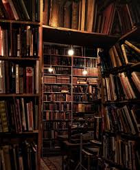 Library Architecture Old Libraries Dark Aesthetic