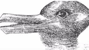 300 gambar bebek gampang hd paling keren infobaru 55 sketsa gambar hewan bebek terbaru koleksi gambar sketsa cara menggambar bebek dengan mudah seni budayaku Tes Kepribadian Kelinci Atau Bebek Apa Yang Kamu Lihat Akan Ungkap Sifatmu Tribunnews Com Mobile