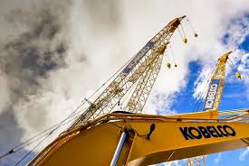 Image result for Natural Yellow 2000 Fleet