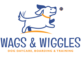 Look for puppy classes that require partial vaccination and sterilize their facilities regularly. Puppy Training Programs Wags Wiggles Dog Daycare