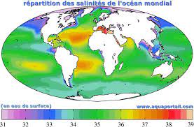 On dit qu'elle est « salée » parce qu'elle contient des substances dissoutes, les sels, constitués d'ions, principalement des ions halogénures comme l'ion chlorure et des ions alcalins comme l'ion sodium. Eau De Mer Definition
